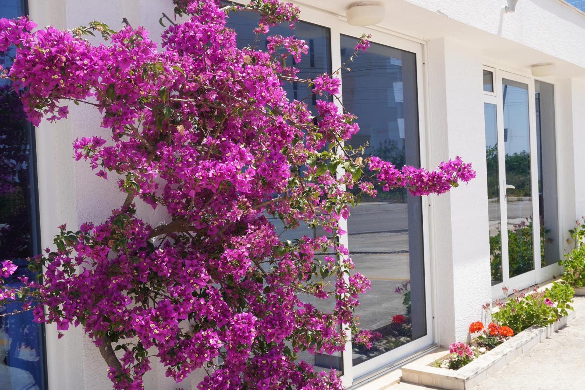 Hotel Agel Sarandë 外观 照片